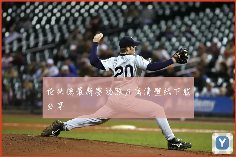 伦纳德最新赛场照片高清壁纸下载分享
