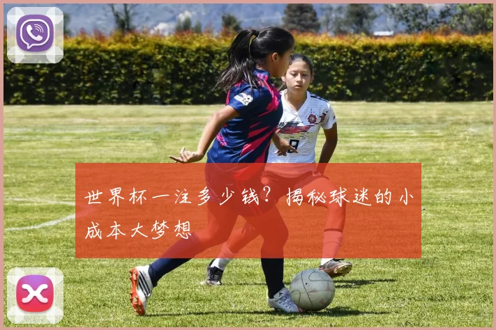 世界杯一注多少钱?揭秘球迷的小成本大梦想