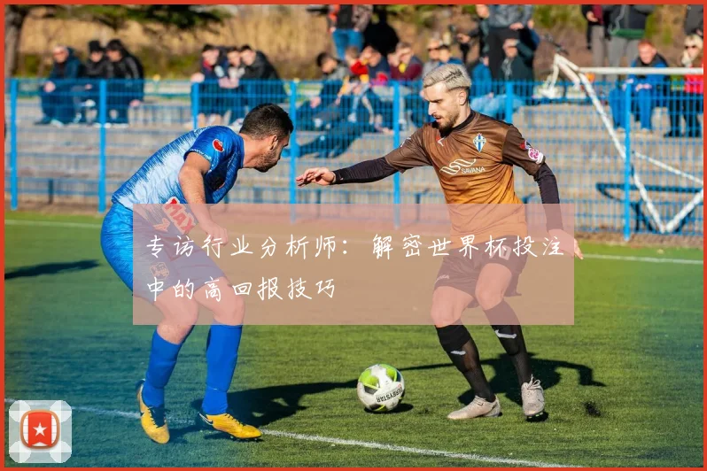 专访行业分析师:解密世界杯投注中的高回报技巧