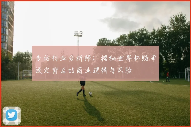 专访行业分析师：揭秘世界杯赔率设定背后的商业逻辑与风险