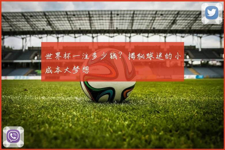 世界杯一注多少钱?揭秘球迷的小成本大梦想