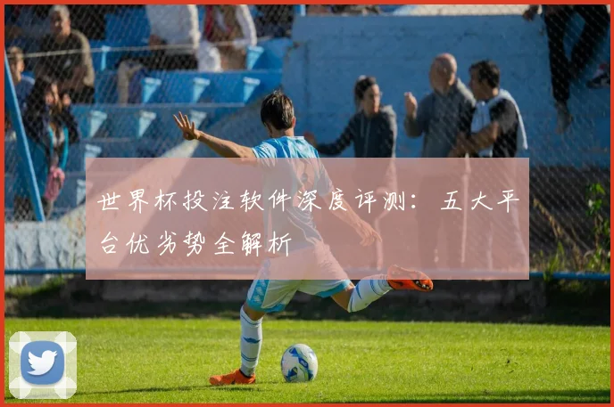 世界杯投注软件深度评测:五大平台优劣势全解析