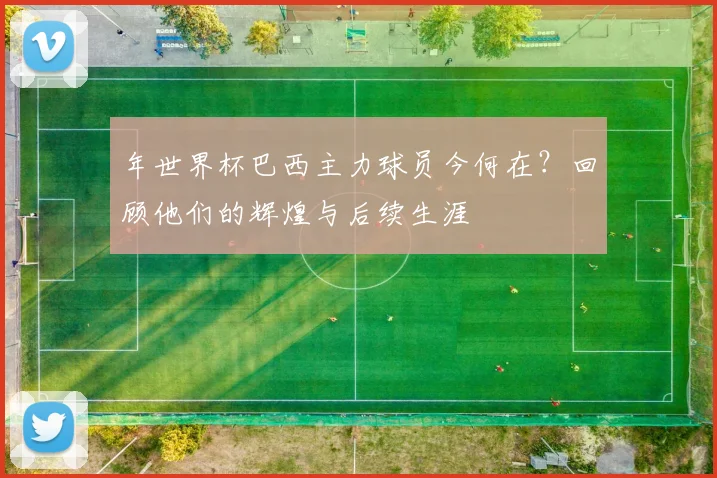 年世界杯巴西主力球员今何在?回顾他们的辉煌与后续生涯