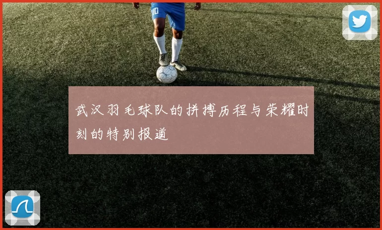 武汉羽毛球队的拼搏历程与荣耀时刻的特别报道